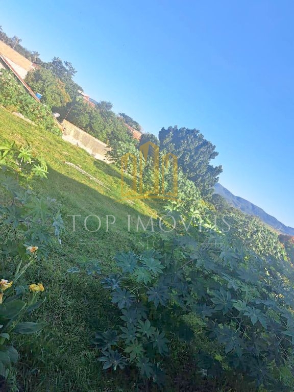 Terreno de 1641m², parte plano e parte com declive com 29m de frente e murada.