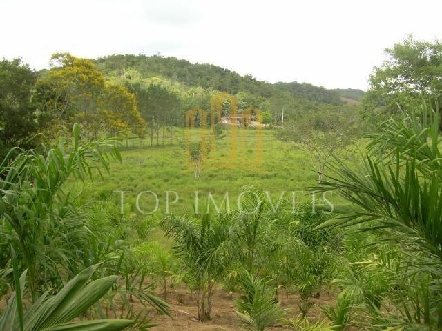 Area para venda em Suzano, por 60,00 m², com toda documentação ok Possui : Planta Geográfica, Levantamento Planimétrico, INCRA, DARF, ITR, CCIR, CNA, todos atualizados.