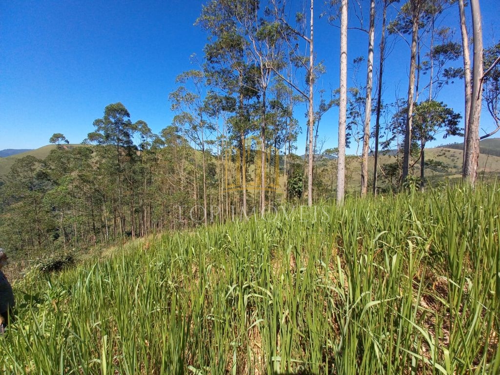 Sitio maravilhoso em monteiro lobato - foto 17
