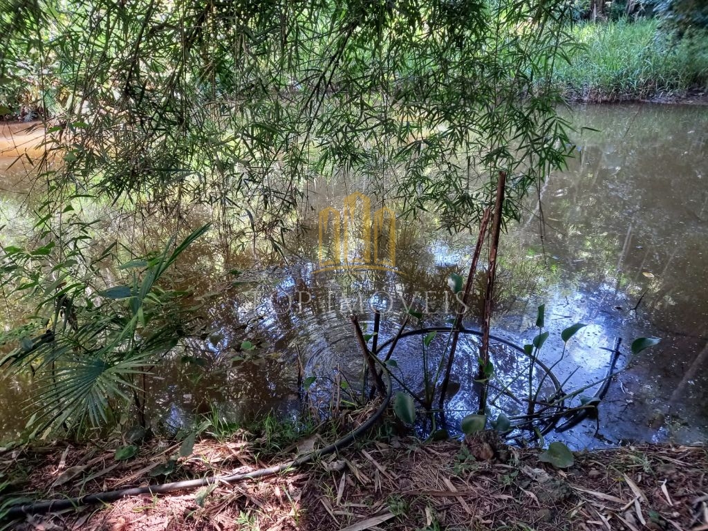 Sitio maravilhoso em monteiro lobato - foto 10