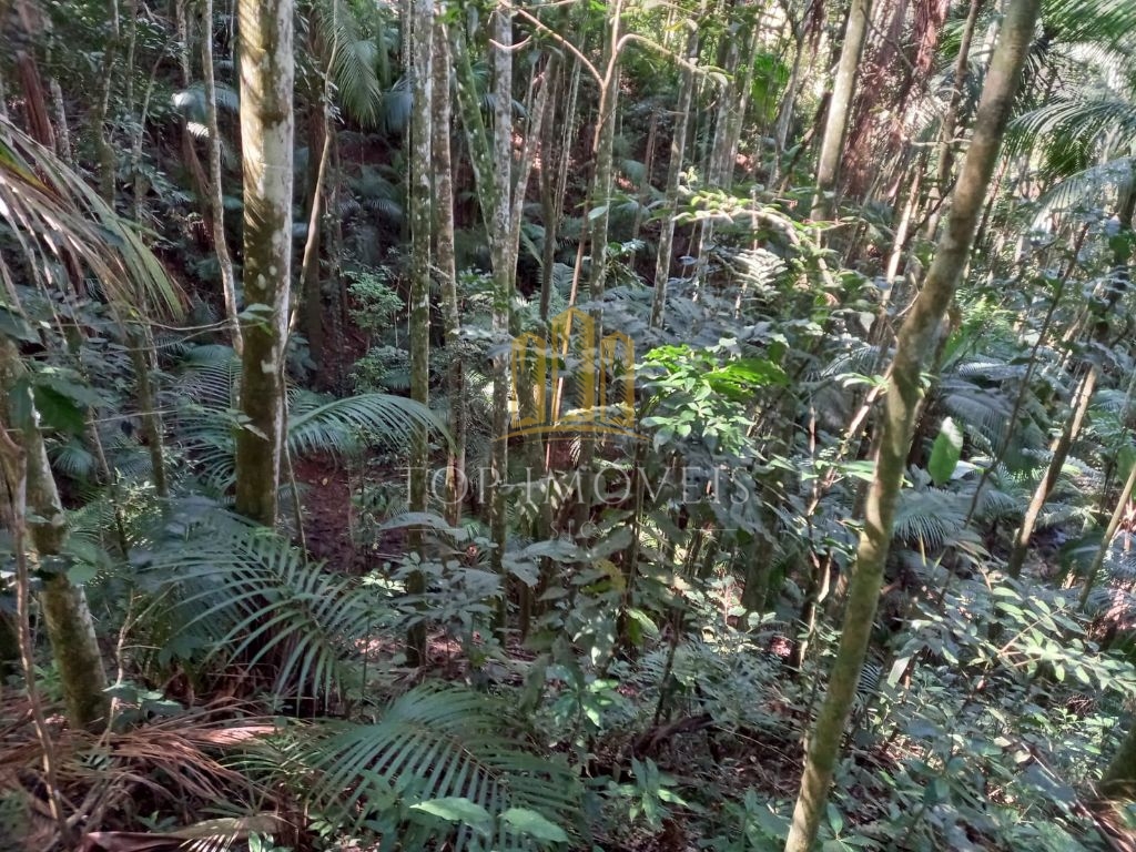 Sitio maravilhoso em monteiro lobato - foto 13