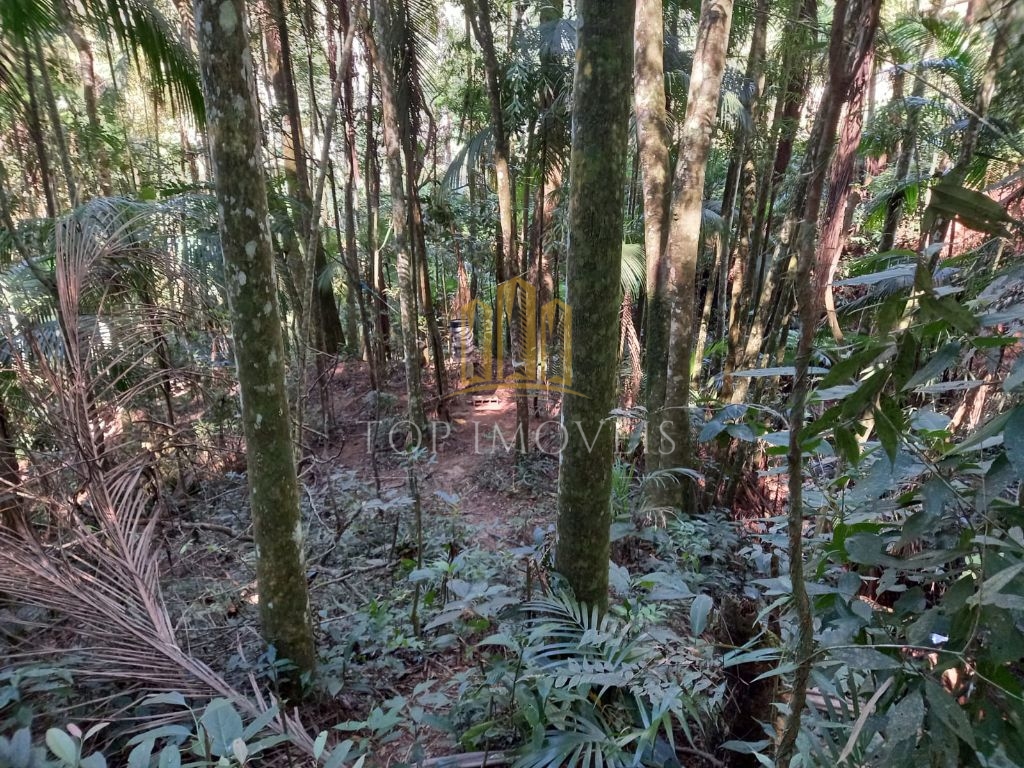 Sitio maravilhoso em monteiro lobato - foto 15