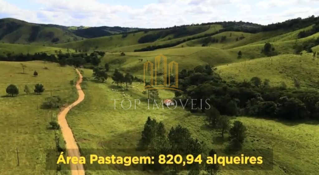 Belíssima Fazenda de Dupla Aptidão Gado de Corte e Leiteiro com 1.060 Alqueires e 6 Cachoeiras