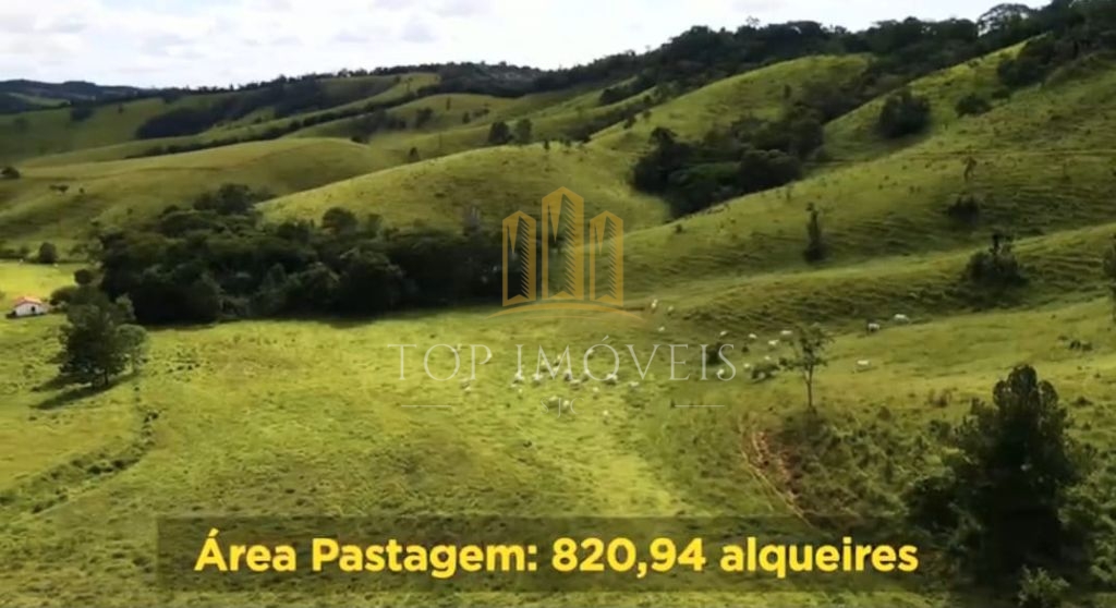 Belíssima Fazenda de Dupla Aptidão Gado de Corte e Leiteiro com 1.060 Alqueires e 6 Cachoeiras