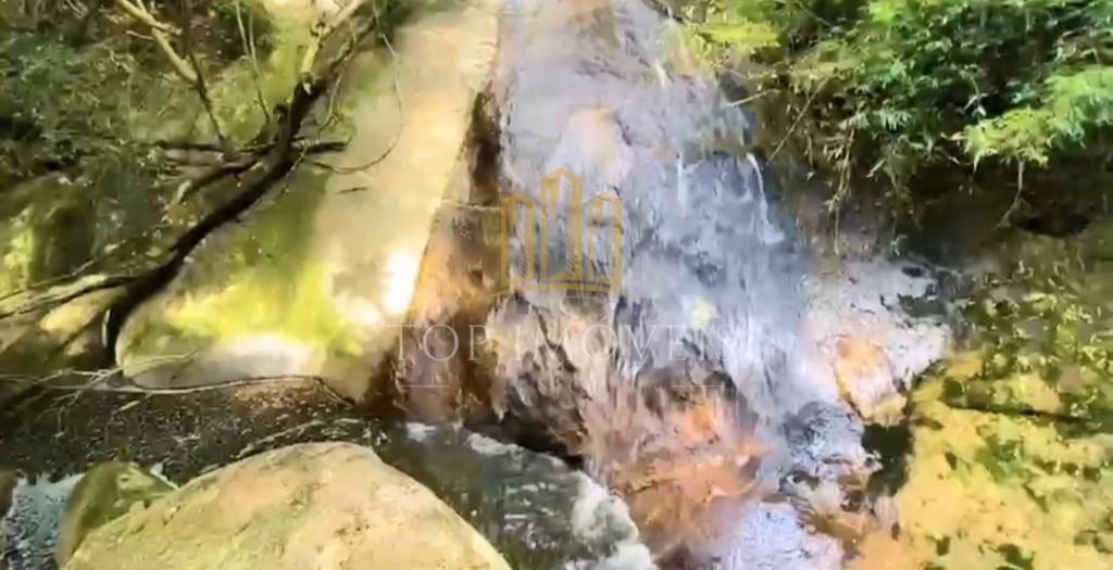 Belíssima Fazenda de Dupla Aptidão Gado de Corte e Leiteiro com 1.060 Alqueires e 6 Cachoeiras