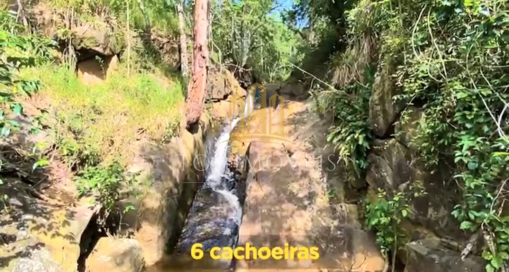 Belíssima Fazenda de Dupla Aptidão Gado de Corte e Leiteiro com 1.060 Alqueires e 6 Cachoeiras