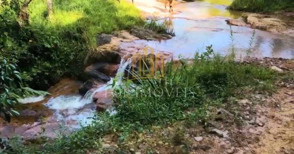 Belíssima Fazenda de Dupla Aptidão Gado de Corte e Leiteiro com 1.060 Alqueires e 6 Cachoeiras
