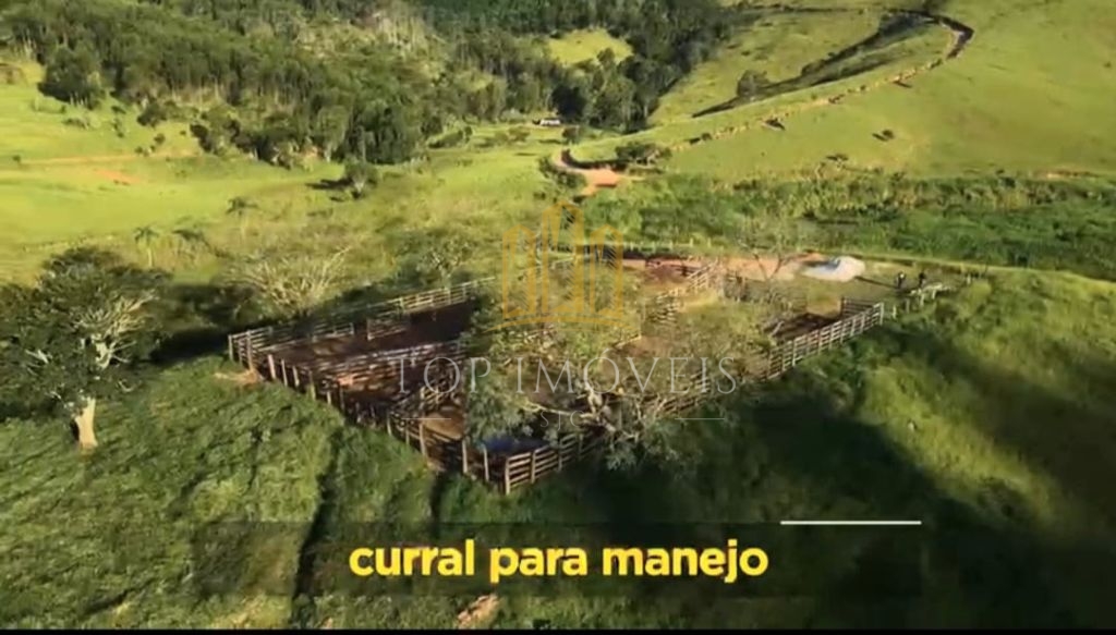 Belíssima Fazenda de Dupla Aptidão Gado de Corte e Leiteiro com 1.060 Alqueires e 6 Cachoeiras