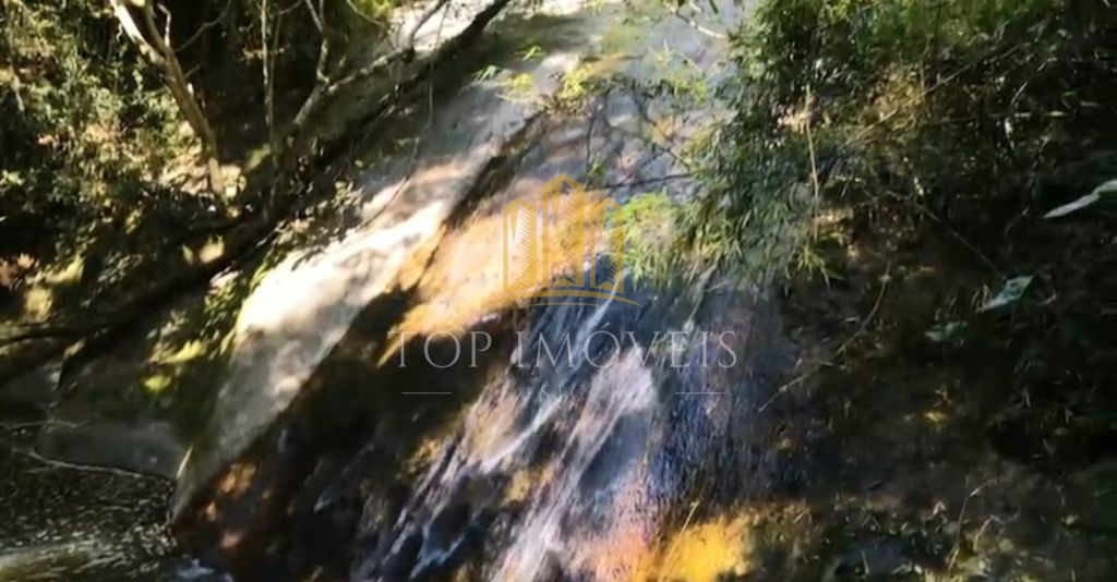 Belíssima Fazenda de Dupla Aptidão Gado de Corte e Leiteiro com 1.060 Alqueires e 6 Cachoeiras