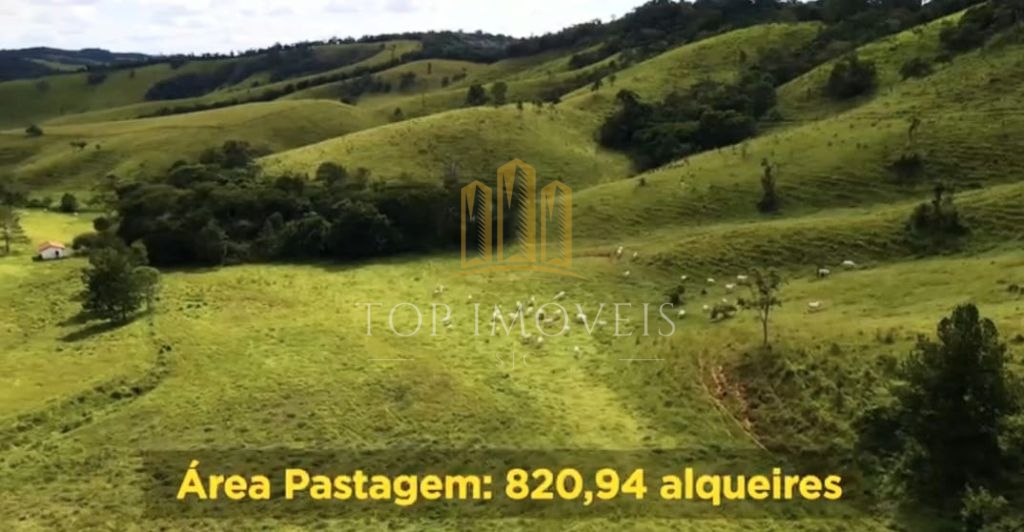 Belíssima Fazenda de Dupla Aptidão Gado de Corte e Leiteiro com 1.060 Alqueires e 6 Cachoeiras