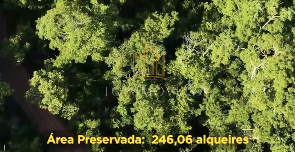Belíssima Fazenda de Dupla Aptidão Gado de Corte e Leiteiro com 1.060 Alqueires e 6 Cachoeiras