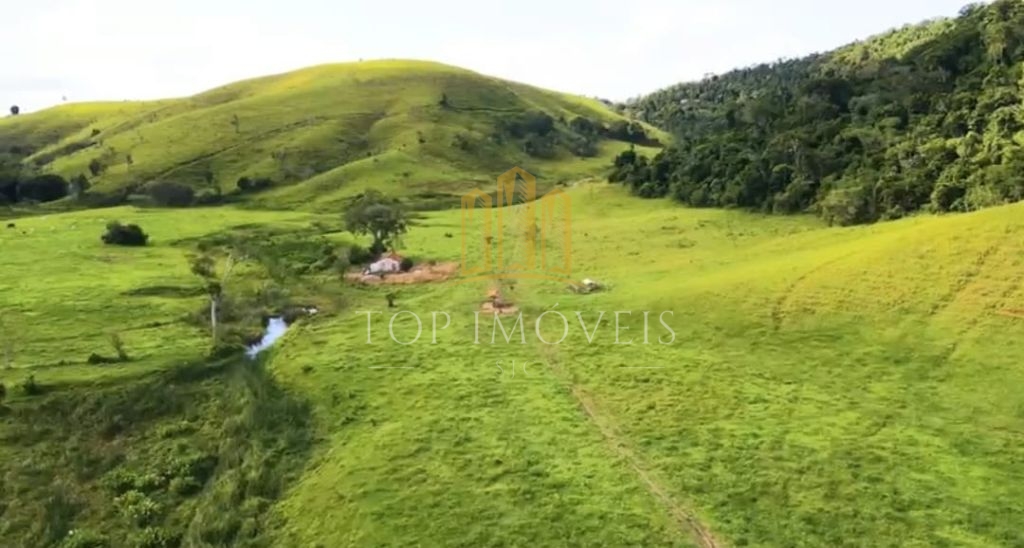 Belíssima Fazenda de Dupla Aptidão Gado de Corte e Leiteiro com 1.060 Alqueires e 6 Cachoeiras
