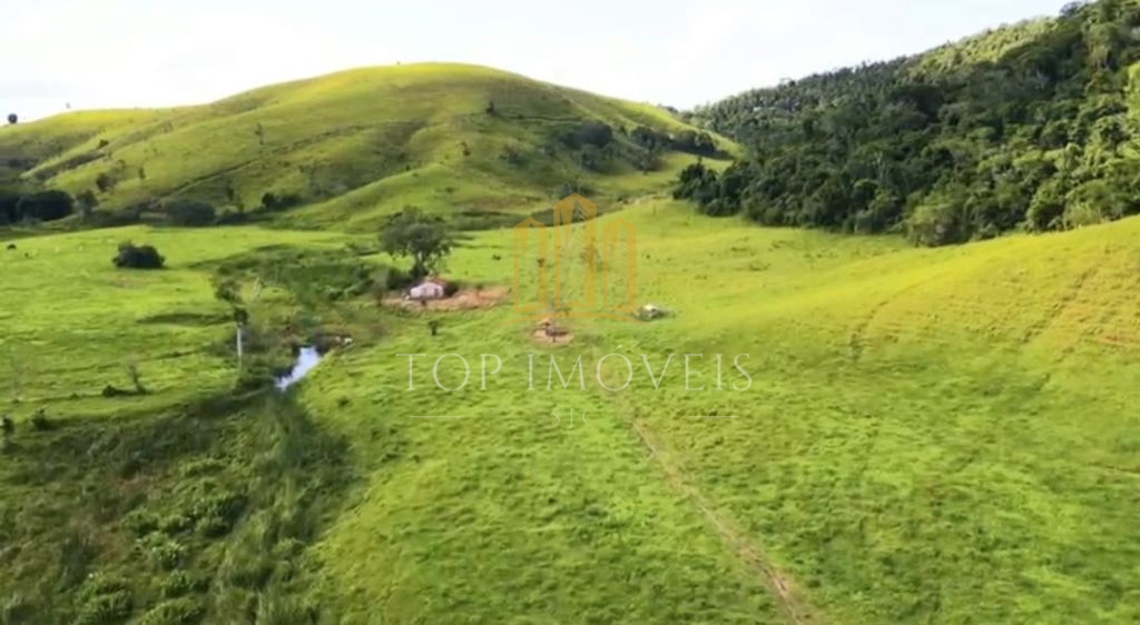 Belíssima Fazenda de Dupla Aptidão Gado de Corte e Leiteiro com 1.060 Alqueires e 6 Cachoeiras