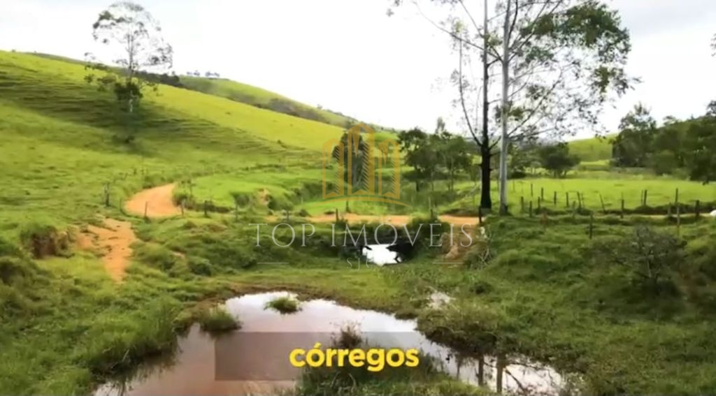 Belíssima Fazenda de Dupla Aptidão Gado de Corte e Leiteiro com 1.060 Alqueires e 6 Cachoeiras