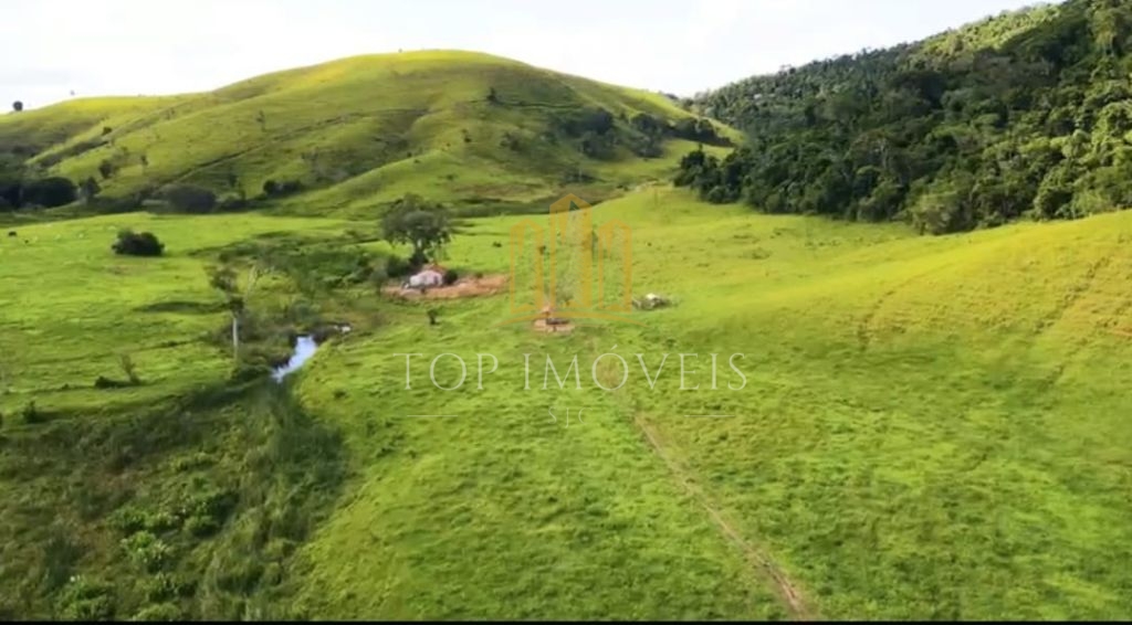 Belíssima Fazenda de Dupla Aptidão Gado de Corte e Leiteiro com 1.060 Alqueires e 6 Cachoeiras