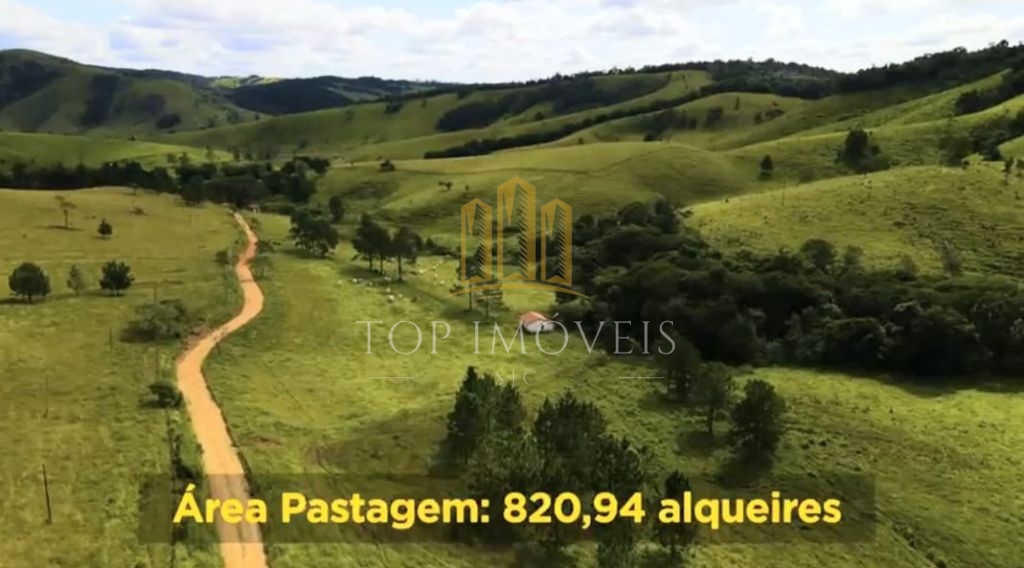 Belíssima Fazenda de Dupla Aptidão Gado de Corte e Leiteiro com 1.060 Alqueires e 6 Cachoeiras