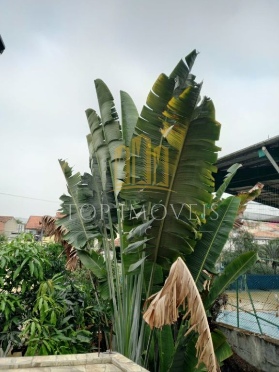 Espaçosa casa tres dormitorios com ponto comercial em altos de santana