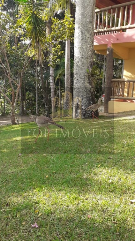 Lindo sítio com localização e vista privilegiada com paisagismo exuberante - Monteiro Lobato/SP - foto 5