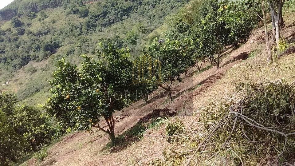 Lindo sítio com localização e vista privilegiada com paisagismo exuberante - Monteiro Lobato/SP - foto 7
