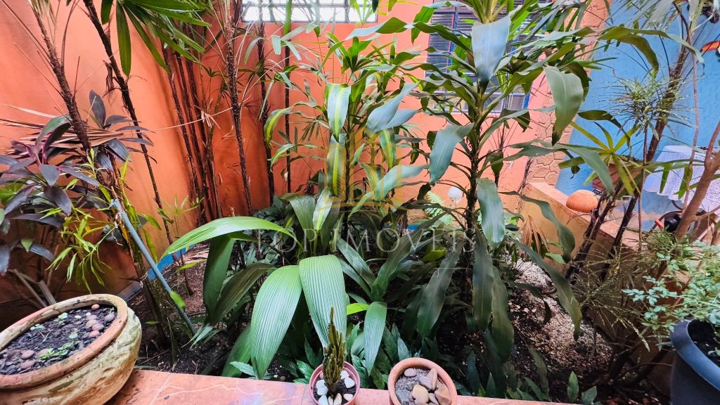 Sobrado Espetacular com 4 Quartos em um Verdadeiro Paraíso Verde!