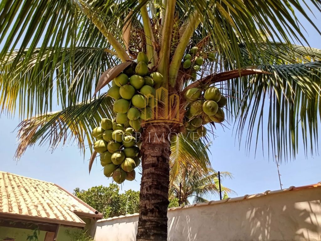 Linda Cahacara Granja Bela Vista Taubaté - foto 19