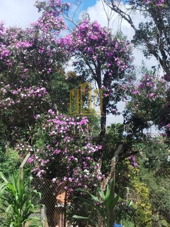 Belissima Casa Estilo Suiço 203m² 4 Dormitórios 2 Banheiros em Campos do Jordão