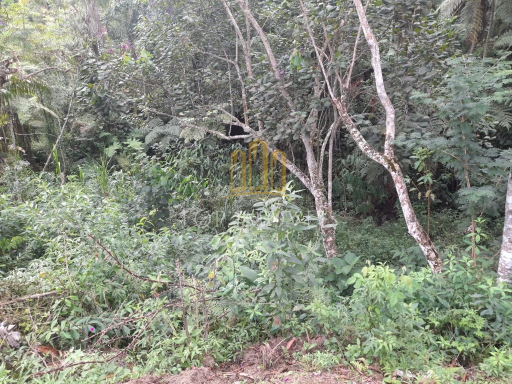 Chacara em Condomínio Juca de Carvalho 2 Suítes Pomar Lago