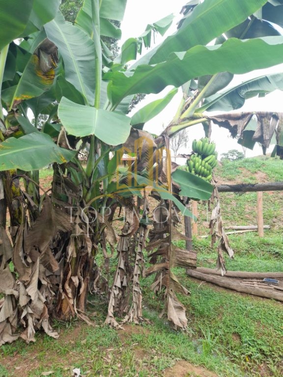 Chacara em Condomínio Juca de Carvalho 2 Suítes Pomar Lago