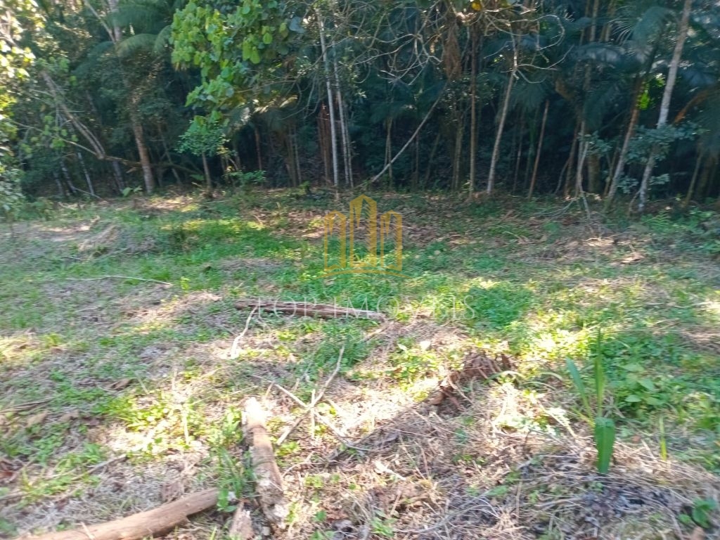 Lindo sítio pouso alto paraibuna 5 alqueires beira da repres