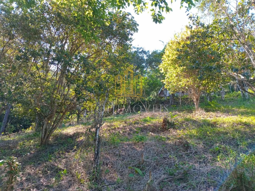 Lindo sítio pouso alto paraibuna 5 alqueires beira da repres