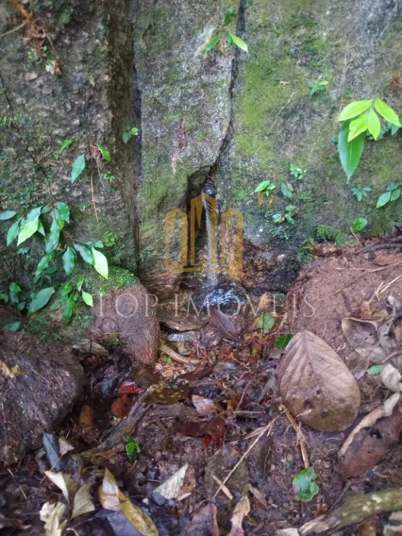 Lindo Sítio Pouso Alto Paraibuna 5 Alqueires Beira da Represa Chale 1 Dormitório - foto 21