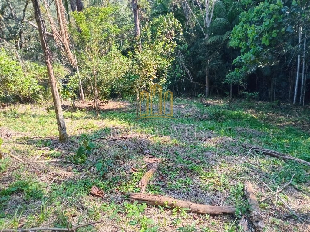 Lindo sítio pouso alto paraibuna 5 alqueires beira da repres