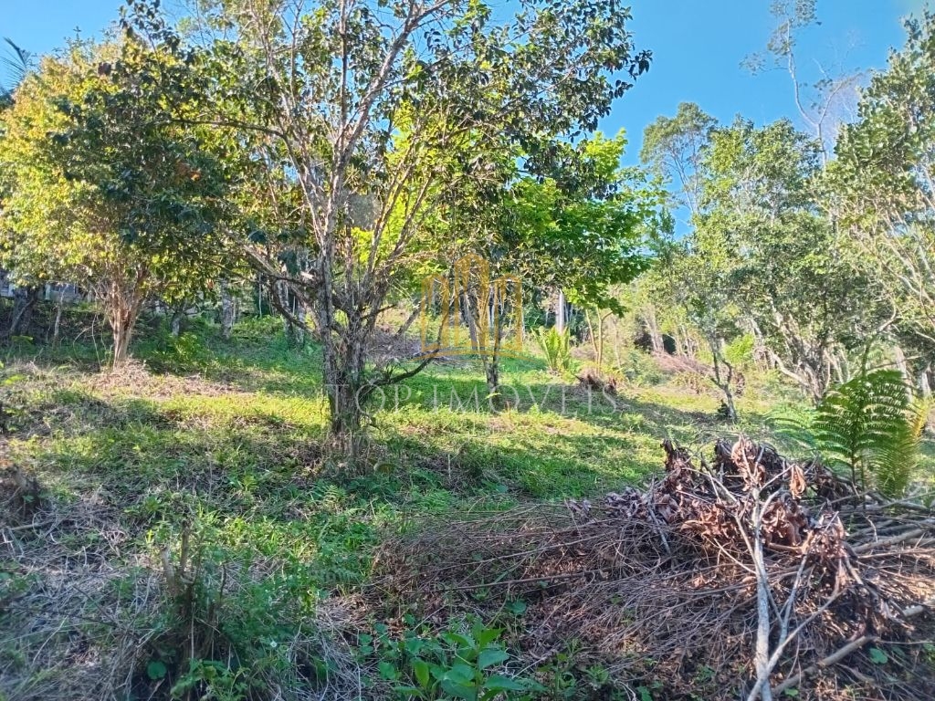 Lindo sítio pouso alto paraibuna 5 alqueires beira da repres
