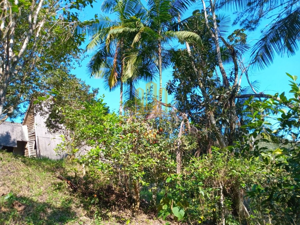 Lindo sítio pouso alto paraibuna 5 alqueires beira da repres