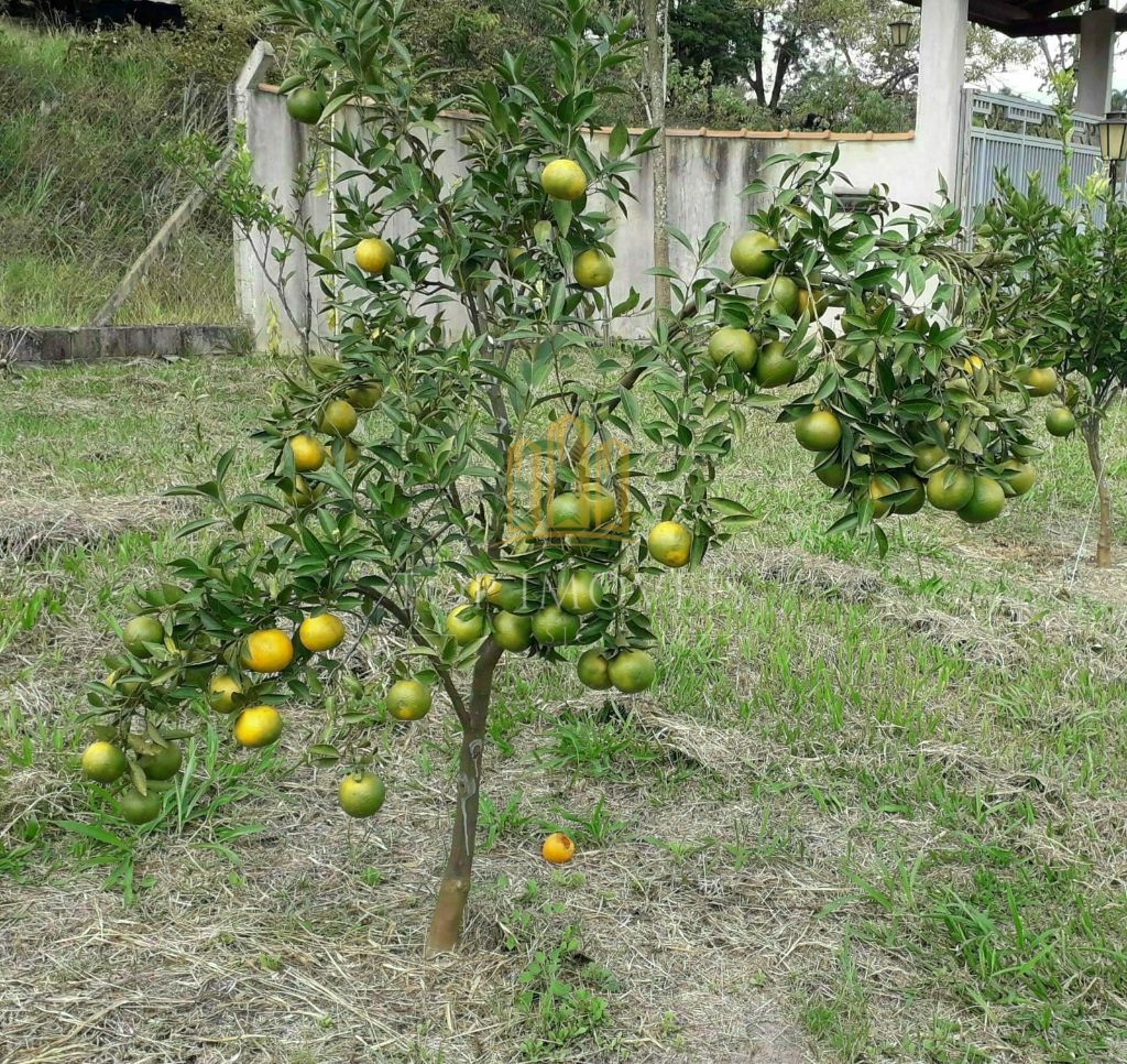 Belissima Chacara Marambaia 5000m² de Terreno e 320m² de Contrução