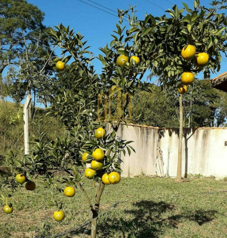 Belissima Chacara Marambaia 5000m² de Terreno e 320m² de Contrução