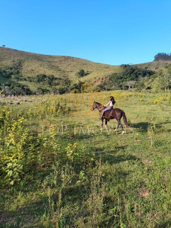 Belissima fazenda em areias-sp 4 dormitórios 2 suítes 78 hec
