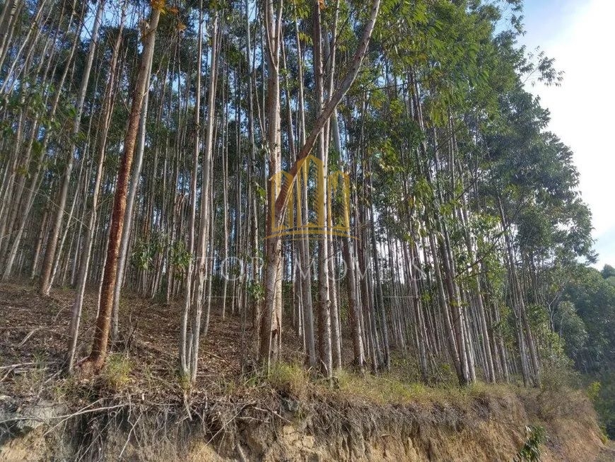 Belissíma fazenda 150 alqueires bairro do cedro paraibuna id