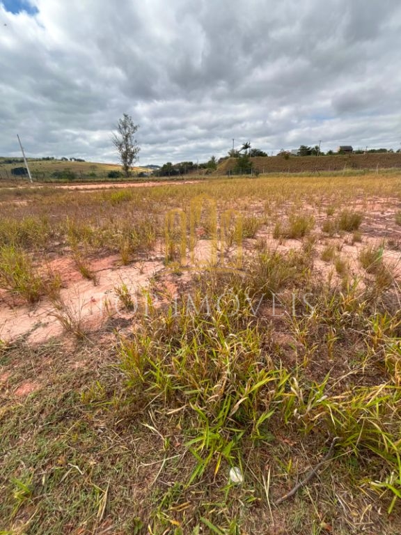 Terreno Comercial/Logístico de 1.000m² na Beira da Dutra 47 Câmeras de Segurança e Vista Panorâmica