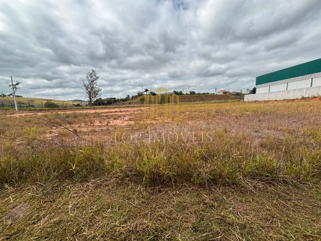 Terreno Comercial/Logístico de 1.000m² na Beira da Dutra 47 Câmeras de Segurança e Vista Panorâmica