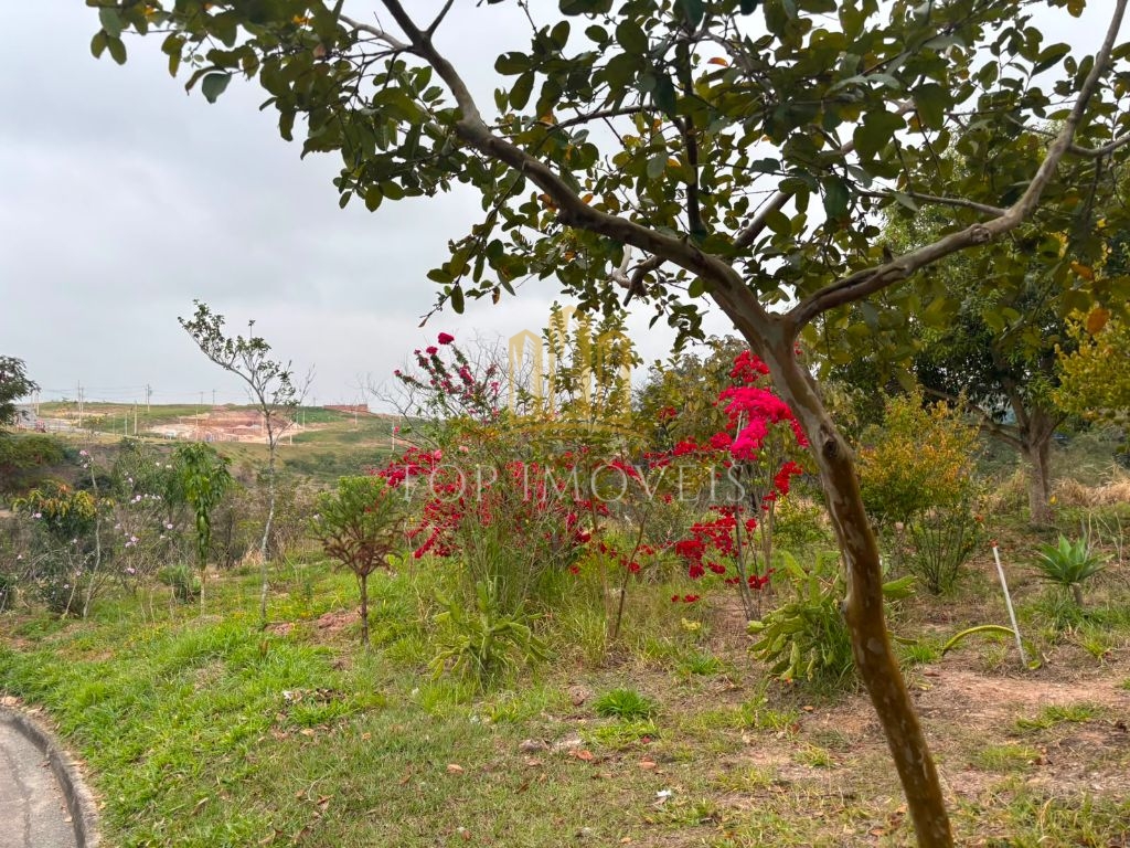 Casa Grande Com Piscina Para Locação no Santa Rosa