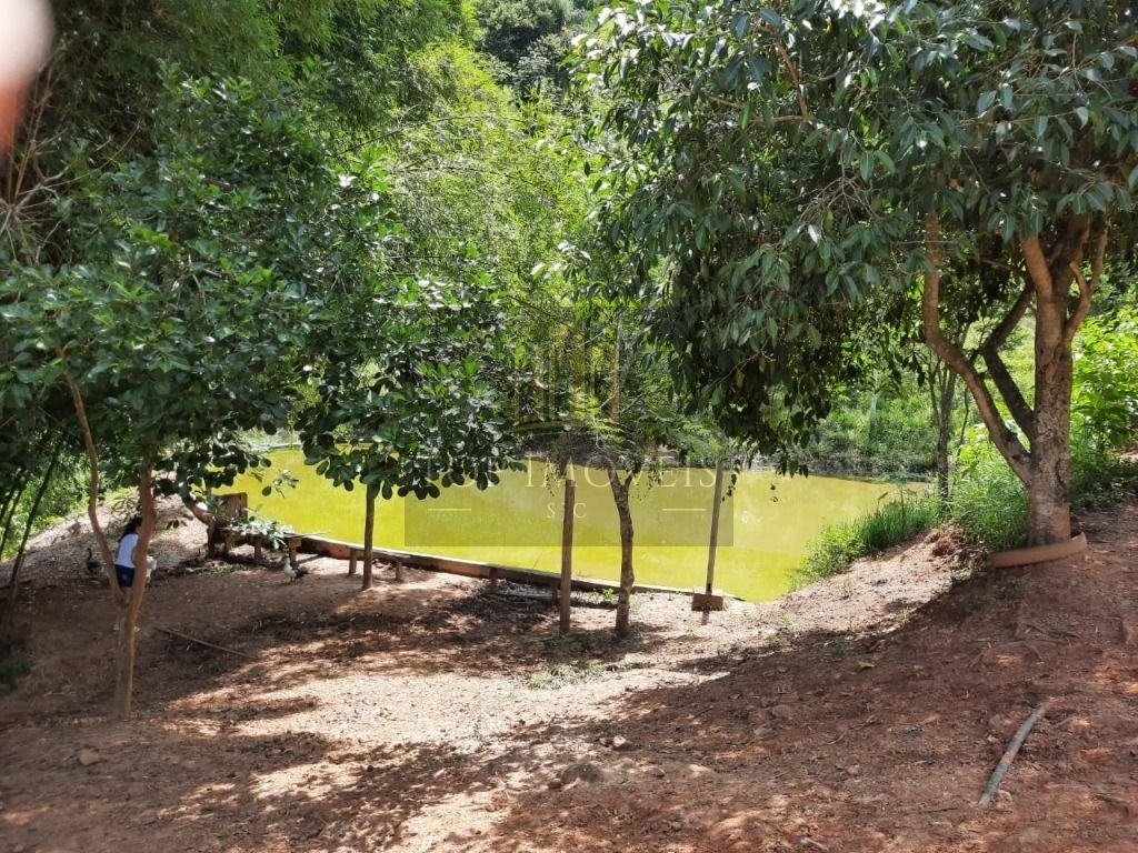 Chácara à venda, 60000 m² - Centro - Santa Branca/SP - foto 10