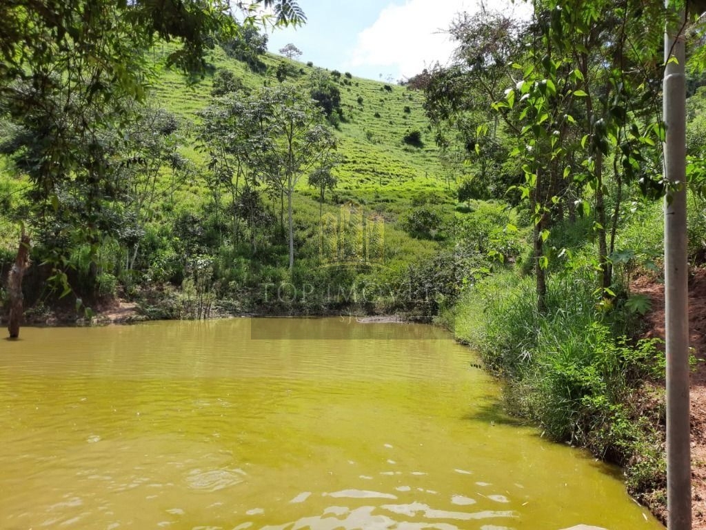 Chácara à venda, 60000 m² - Centro - Santa Branca/SP - foto 13