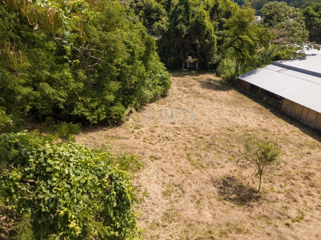 Taquara terreno comercial ou residencial - 4.000m² - foto 3