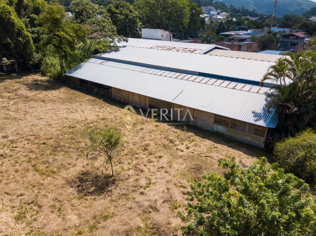 Taquara terreno comercial ou residencial - 4.000m² - foto 2