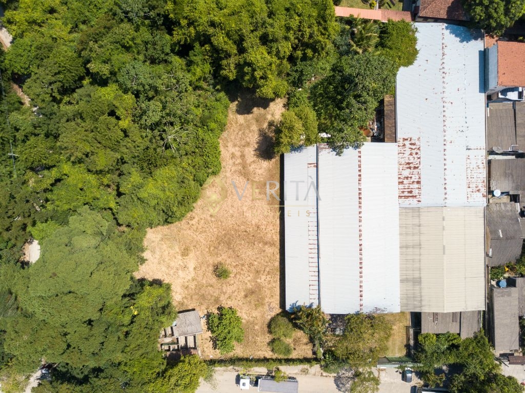 Taquara terreno comercial ou residencial - 4.000m² - foto 10