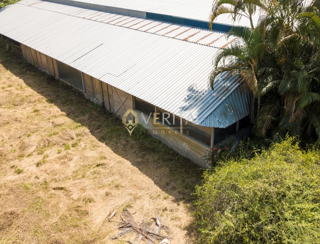 Taquara terreno comercial ou residencial - 4.000m² - foto 11