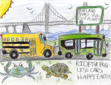 Save The Bay! by Sydney Greer