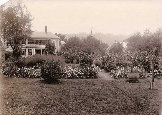 The view of the rear gardens and rain barrel in 1908.
