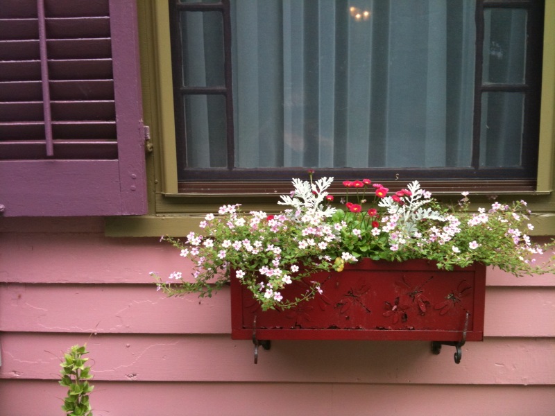 Window Box
